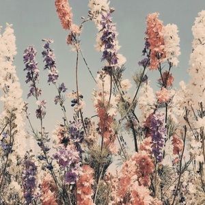 Meet your Posher, Caitlynn